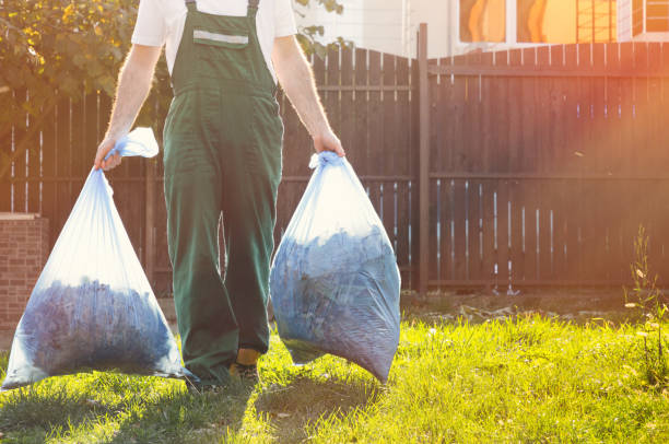 Best Dumpster Rental Services  in Brighton, MI